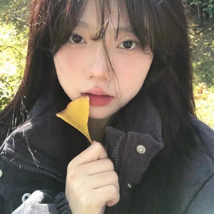 茉莉牌局
